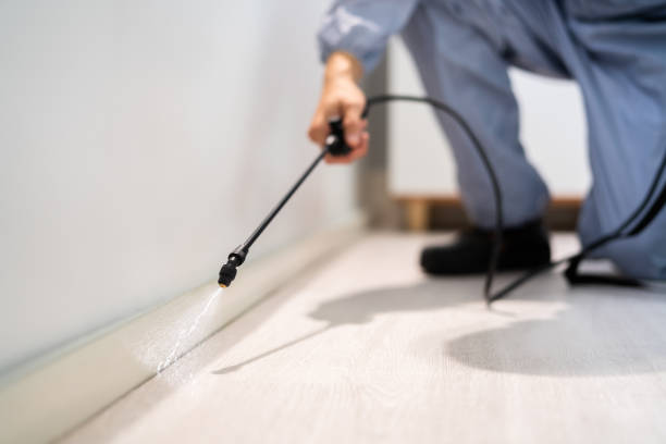 Licensed Cockroach Control service in Muskogee County County, OK - Nex Pest Control