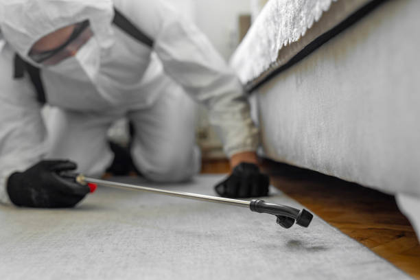 Professional Cockroach Control technician working in Muskogee County County, OK